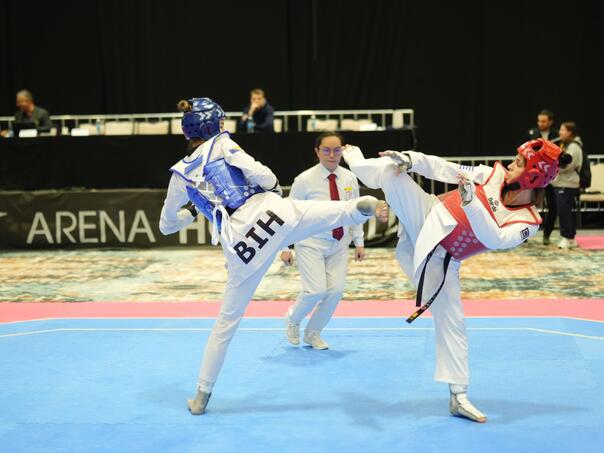 Foto: Taekwondo savez FBiH