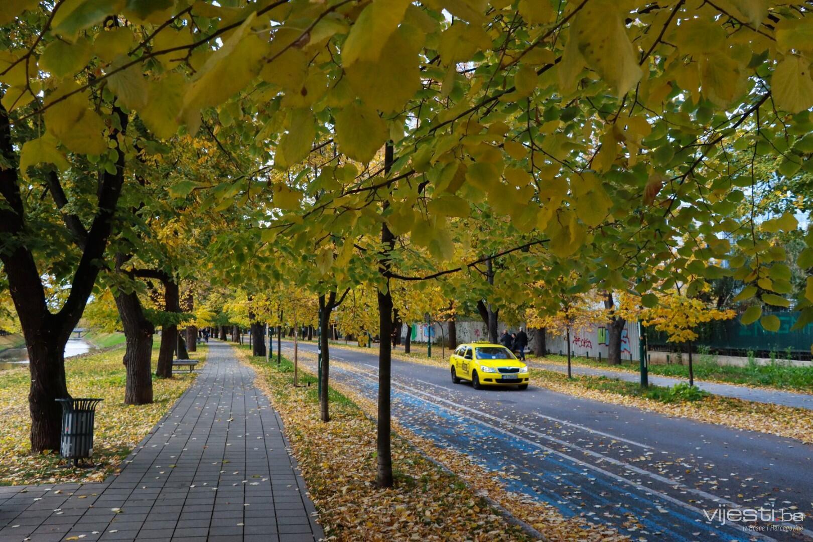 Zlatni tragovi oktobra na Vilsonovom šetalištu
