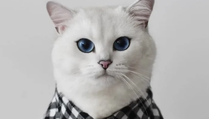 1200x800-db3ecb38-38e4-11eb-8317-0242ac15000f