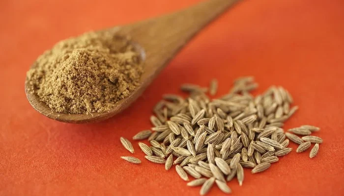 1573465281-sta-je-kumin-a-sta-kim-koja-je-razlika