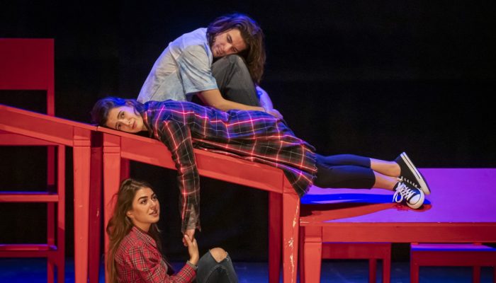 1738850698-hit-predstava-uhvati-zeca-7-febrara-na-sceni-narodnog-pozorista