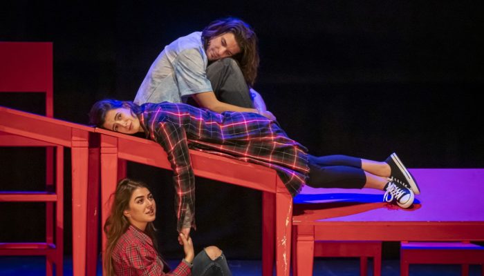 1741555328-hit-predstava-uhvati-zeca-10-marta-na-sceni-bnp-zenica