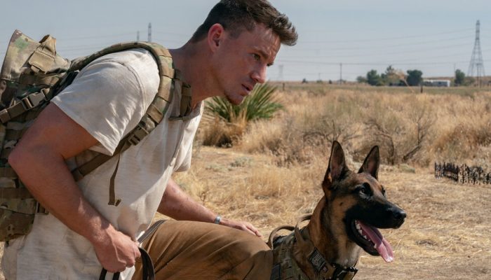 17dog1-facebookJumbo