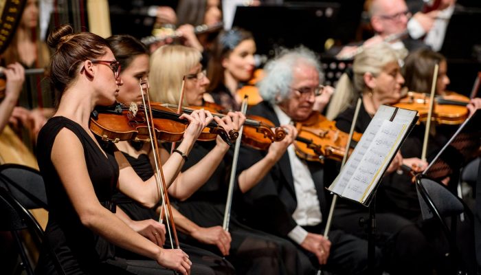 22520216_978617245611059_5780159795111435512_o