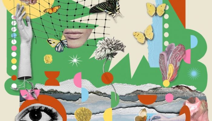 489032508_1195070555951685_7190277562658604864_n