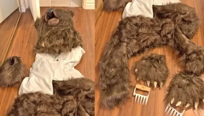 Bear-costume-insurance-scam