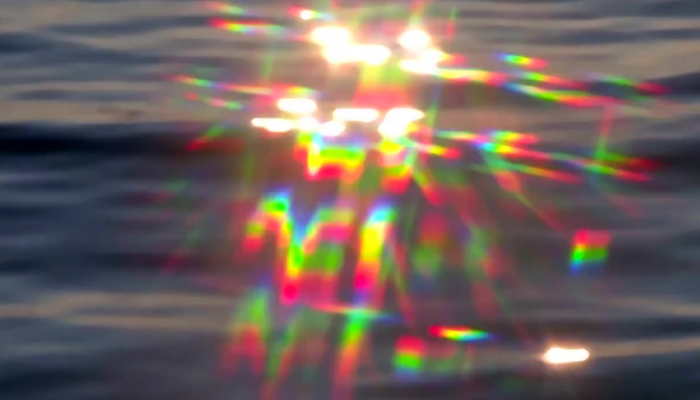 Esma Numanović - Jutro - Fotografija za Website