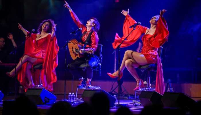 Frajle_Lisinski64906