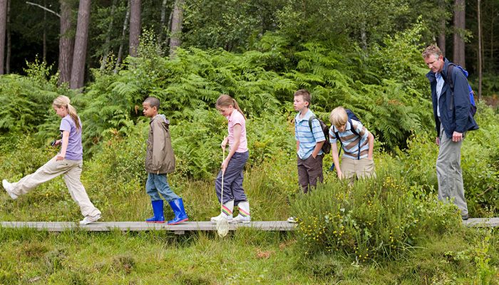 Teacher and pupils on field trip