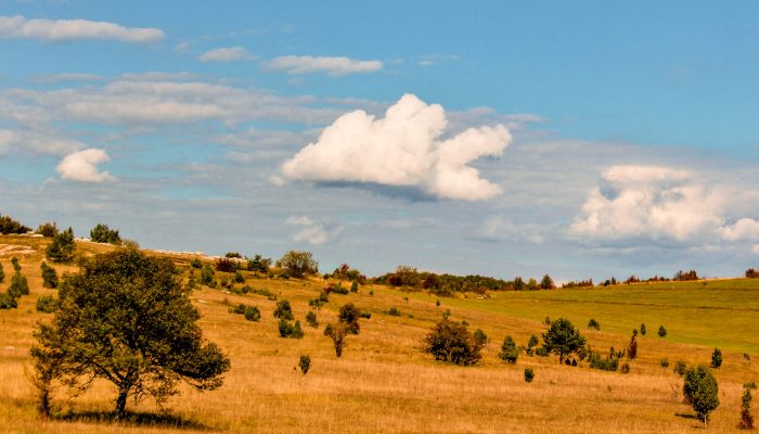 Fotograf: Don Cadron