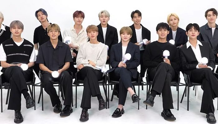 SEVENTEEN(세븐틴)_-_'Ready_to_love'_응원법_3m_25s