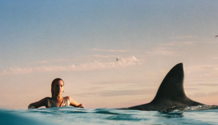 Screenshot 2024-03-14 071210