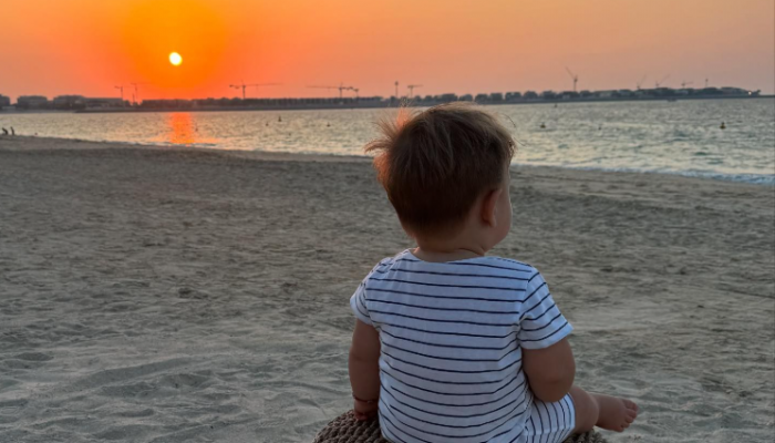 Screenshot 2024-12-02 094050