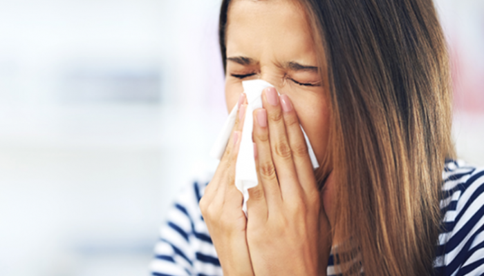 Screenshot 2025-05-05 060952