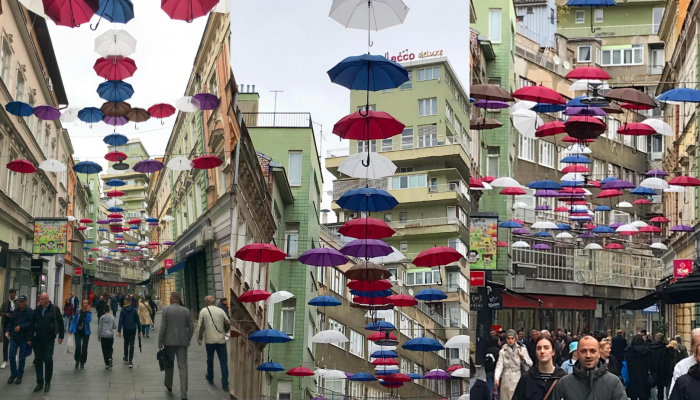 Untitled design (18)