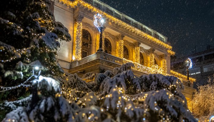 VH-NPS snijeg (20) (2)