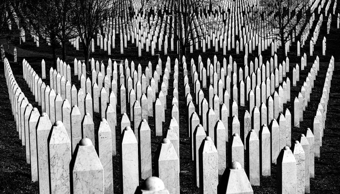 !!VH-Potocarske sjene (9)