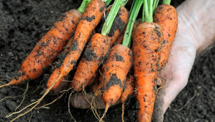 ad2fb3c0-5e39-4e37-9189-b77942093687-119f71b