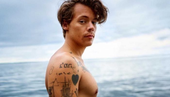 ccelebritiesForHarryReview-880x660