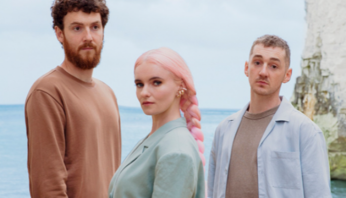clean_bandit_js_180222