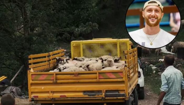 Foto: Ilustracija / Facebook