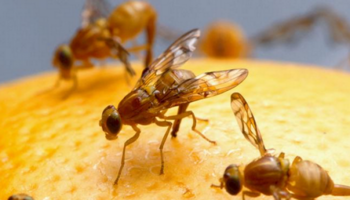 Ilustracija/ Stockvault