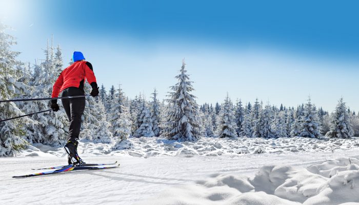 A man cross-country skiing on the trail in wintry forest