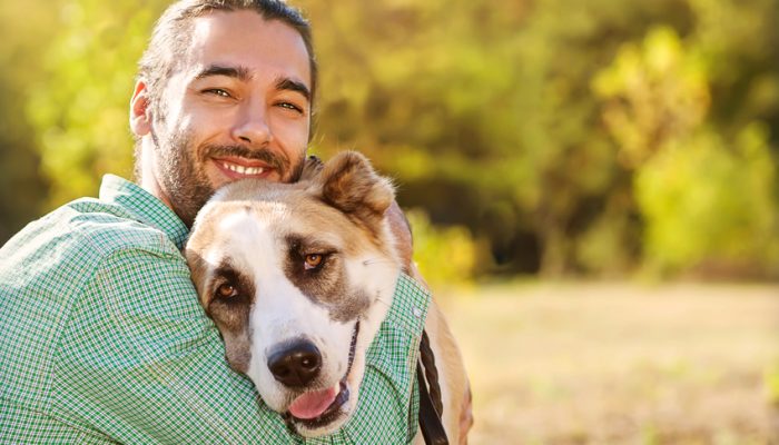 Man and central Asian shepherd walk in the park. He keeps the dog on the leash.
