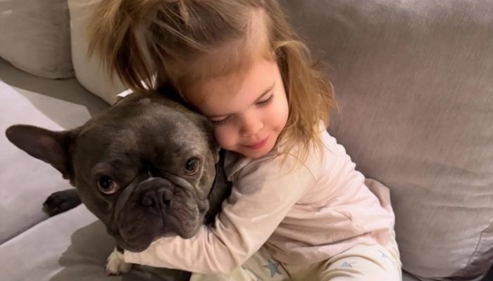 pexels-djeca-dzeko-1741693645-821x550