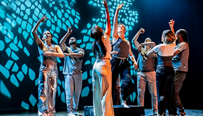 plesna-razmjena-antwerpena-i-sarajeva-screenshot-2025-04-02-122911_67ed1198d0f54