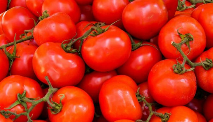 foto;Ilustracija/ Pixabay