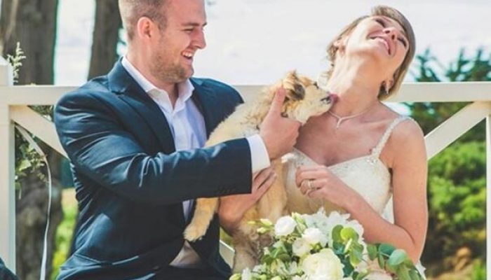 sapa-umjesto-potpisa-cak-23-drzave-u-sad-u-priznaju-ljubimce-za-vjencane-svjedoke-pas-vjencanje_66a8bdb9dda59