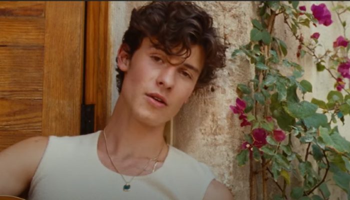 shawn-mendes-tainy-summer-of-love-video