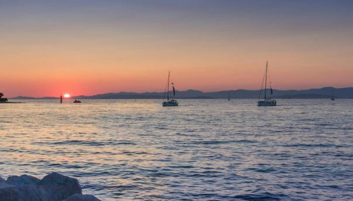 Foto: Ilustracija/ Pexels