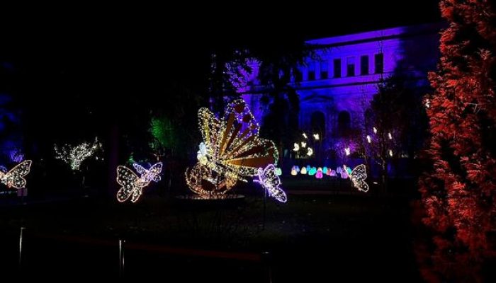 zavrsen-festivala-svjetla-u-sarajevu-festival-svjetla-sarajevo_65e2f9416d9ef